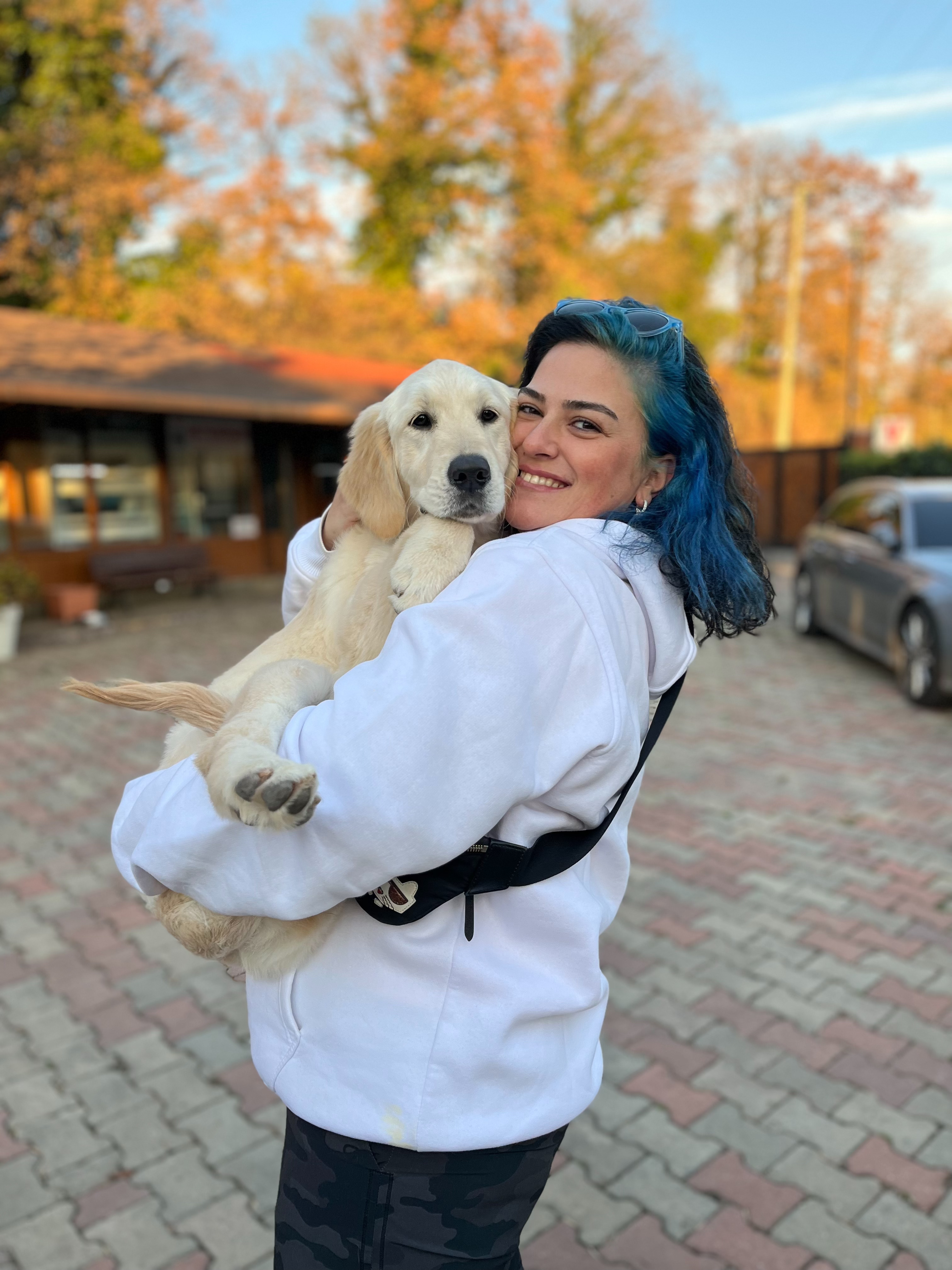 Çağlar hanım ve bu mükemmel Golden Retriever kızımız birlikteler artık. Adı Jersey oldu